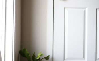 Idealne białe drzwi