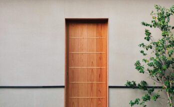 Jakie wybrać nowoczesne drzwi wejściowe