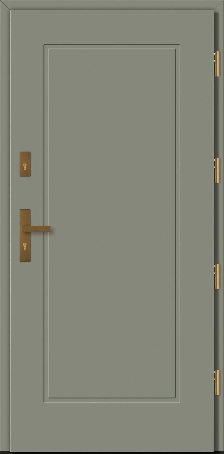 Drzwi BARAŃSKI SIMPLE DB 218