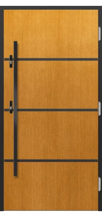 Drzwi Erkado Inox P155