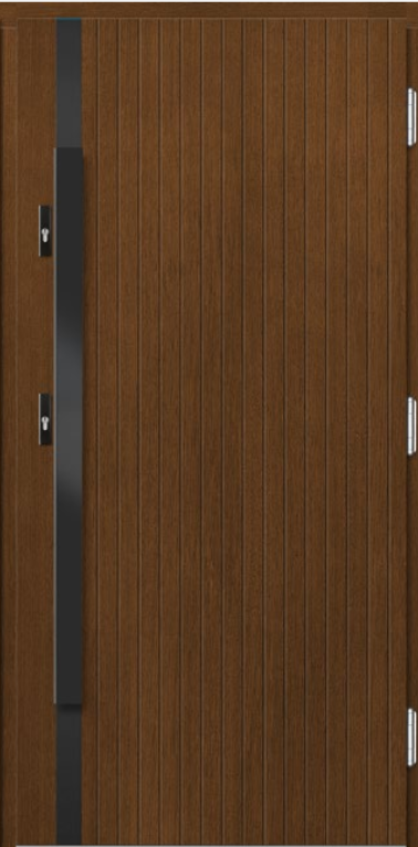 Drzwi Erkado Inox P158