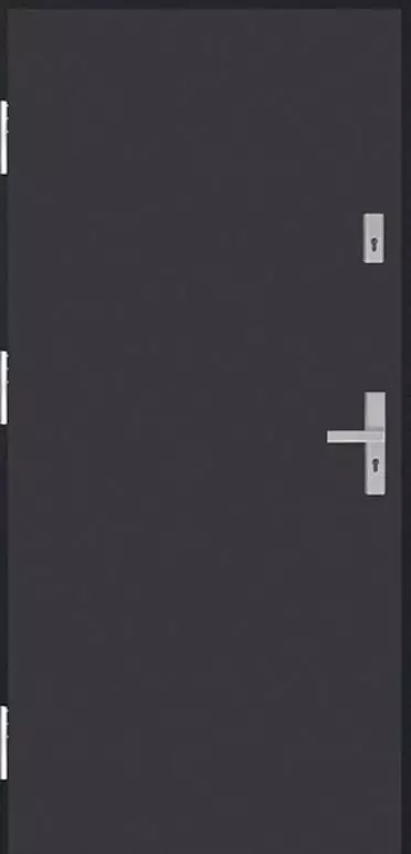 Drzwi MARTOM Defender 55 G 00 RC2 42db