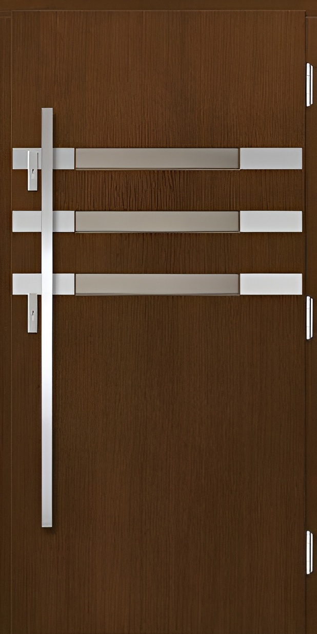 Drzwi Erkado Inox P100