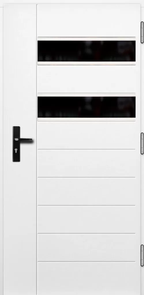 Drzwi ERKADO Glass P120