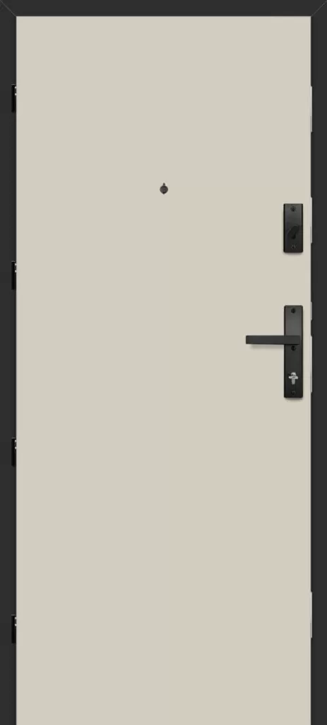 Drzwi Erkado Forteca RC2